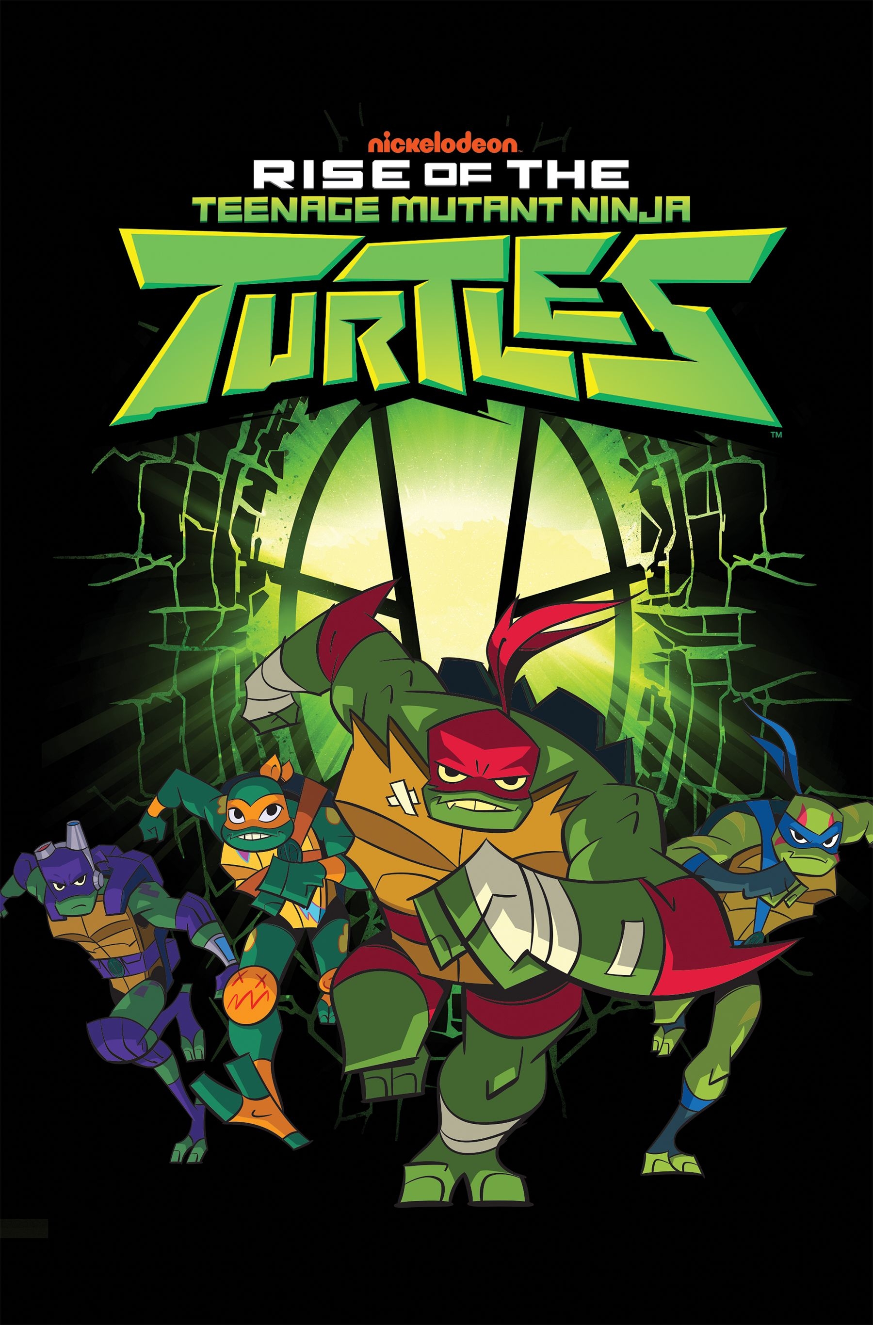 1800x2740 Teenage Mutant Ninja Turtle Image, Phone