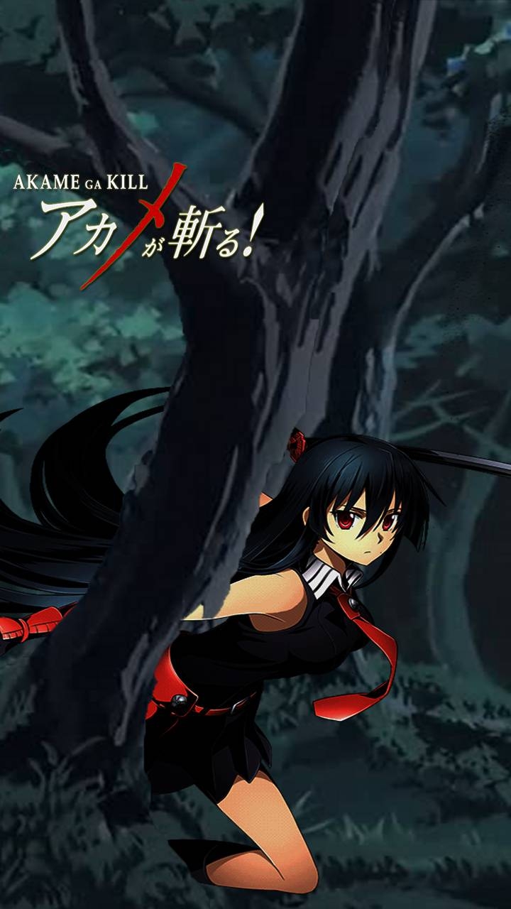 720x1280 Akame Ga Kill wallpaper by.zedge.net, Phone