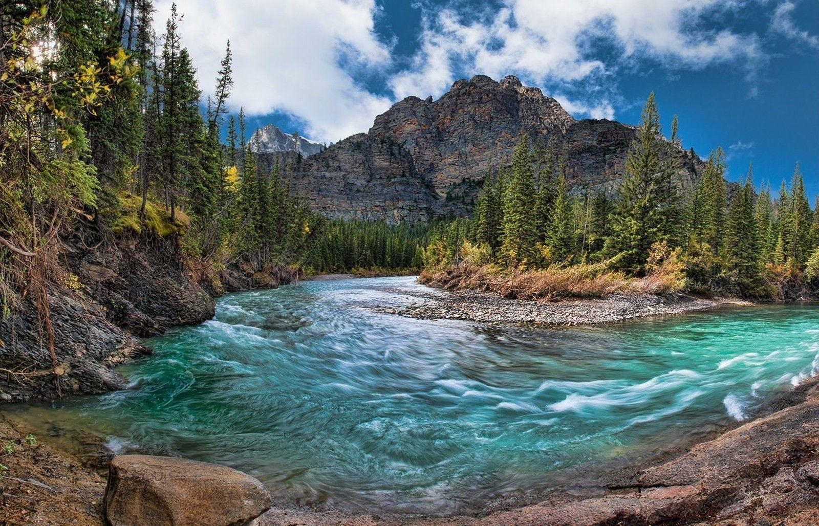 1600x1030 River: Mountain Creek Canada Forest River Banff National Park Water, Desktop