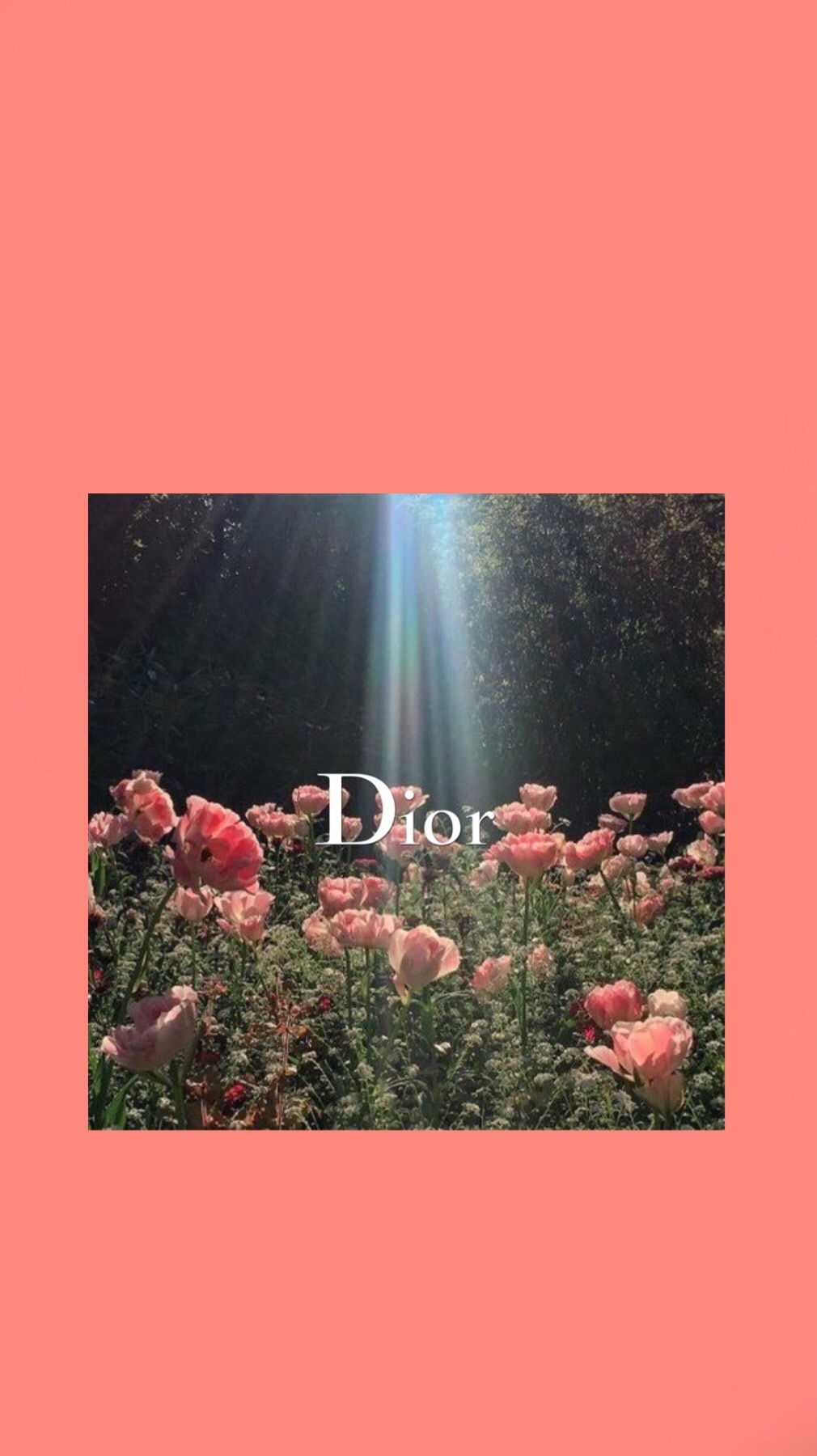 1010x1800 Flowers Dior Wallpaper. Iconic wallpaper, Vintage poster design, iPhone background wallpaper, Phone