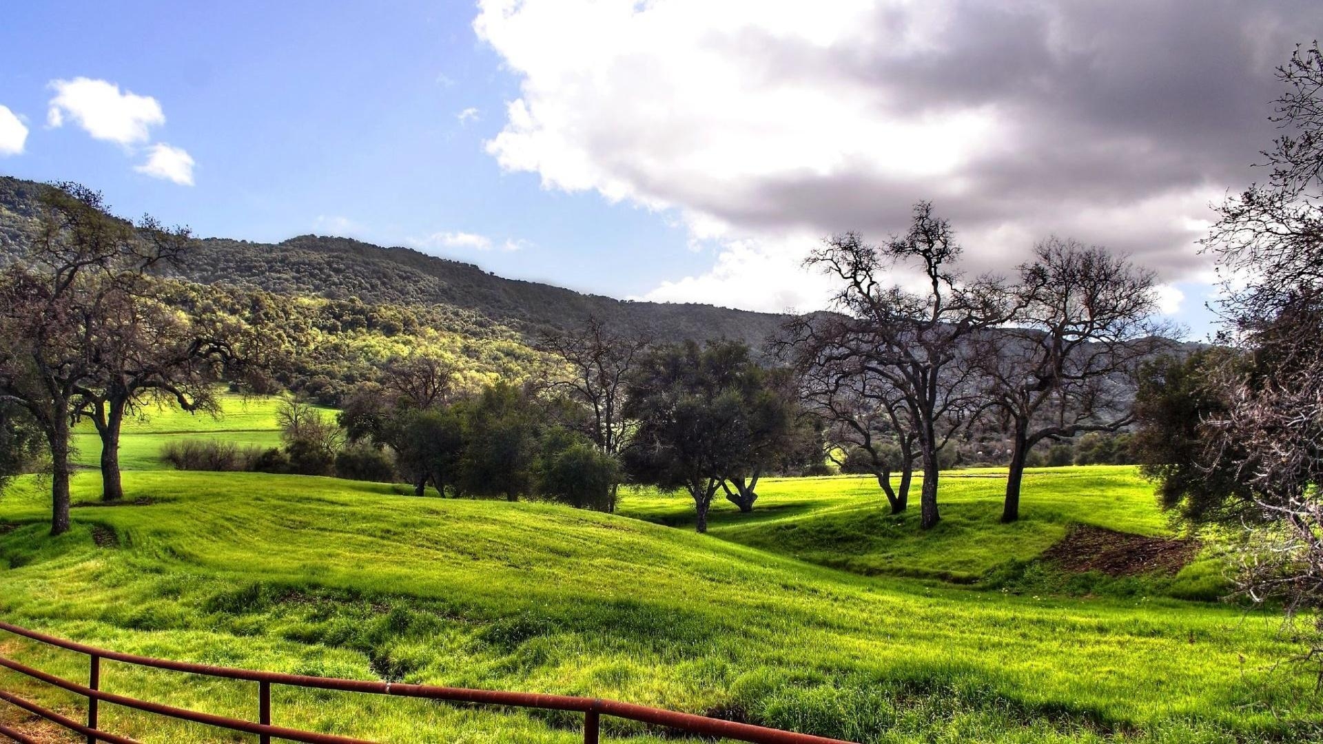 1920x1080 Spring Meadow HD 32110  px HDWallSource, Desktop