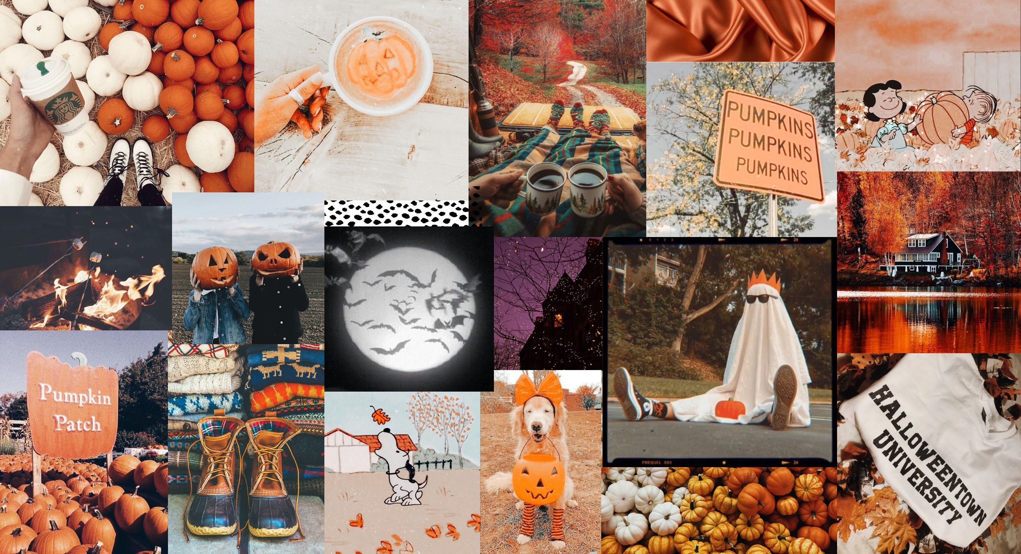 3270x1780 spooky desktop wallpaper. Halloween desktop wallpaper, Halloween desktop wallpaper aesthetic, Cute fall wallpaper, Desktop