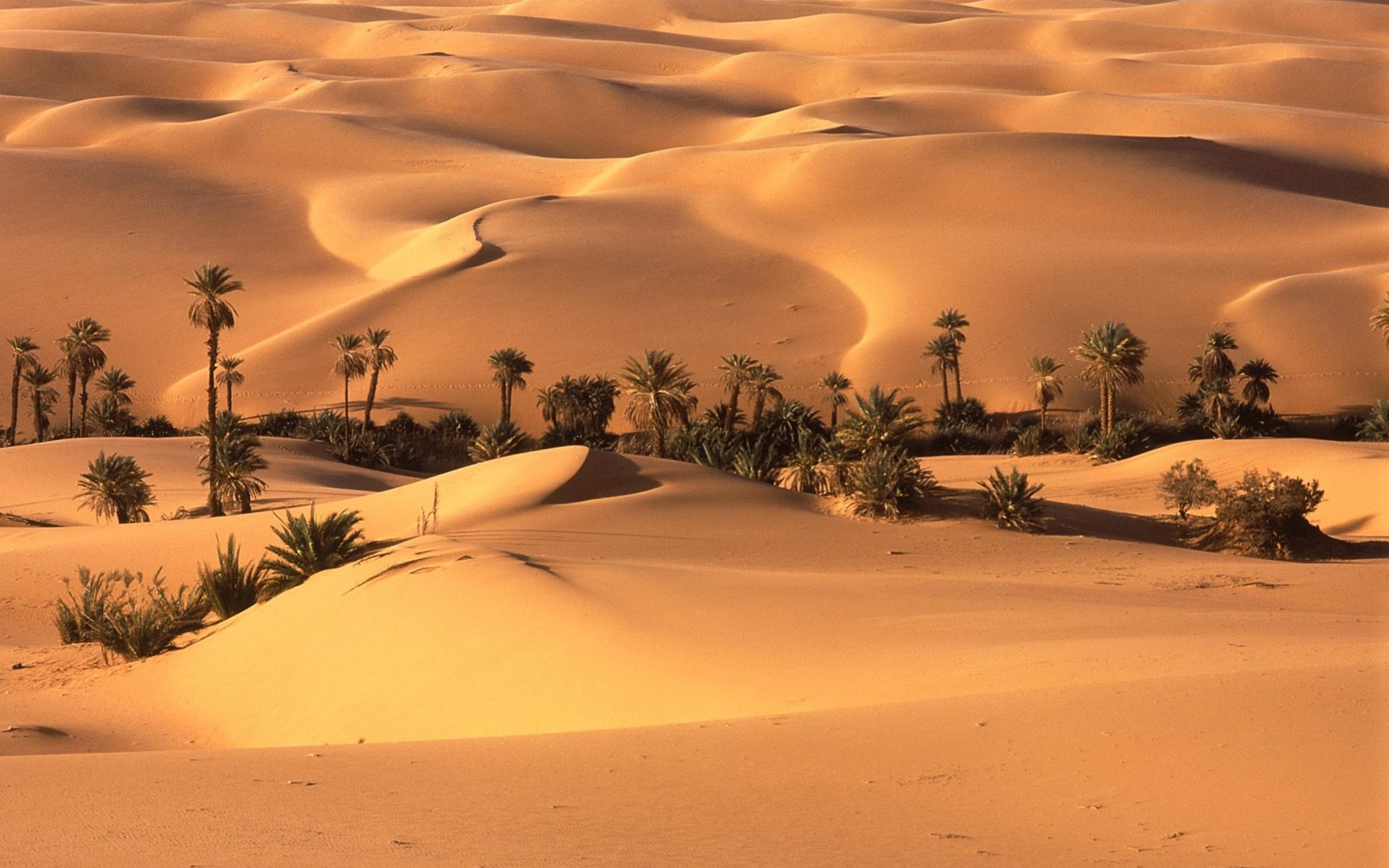 3840x2400 Ultra HD 4K Desert Wallpaper HD, Desktop Background, Desktop