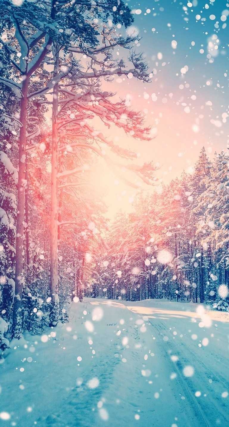 770x1440 Winter Background Wallpaper, Phone