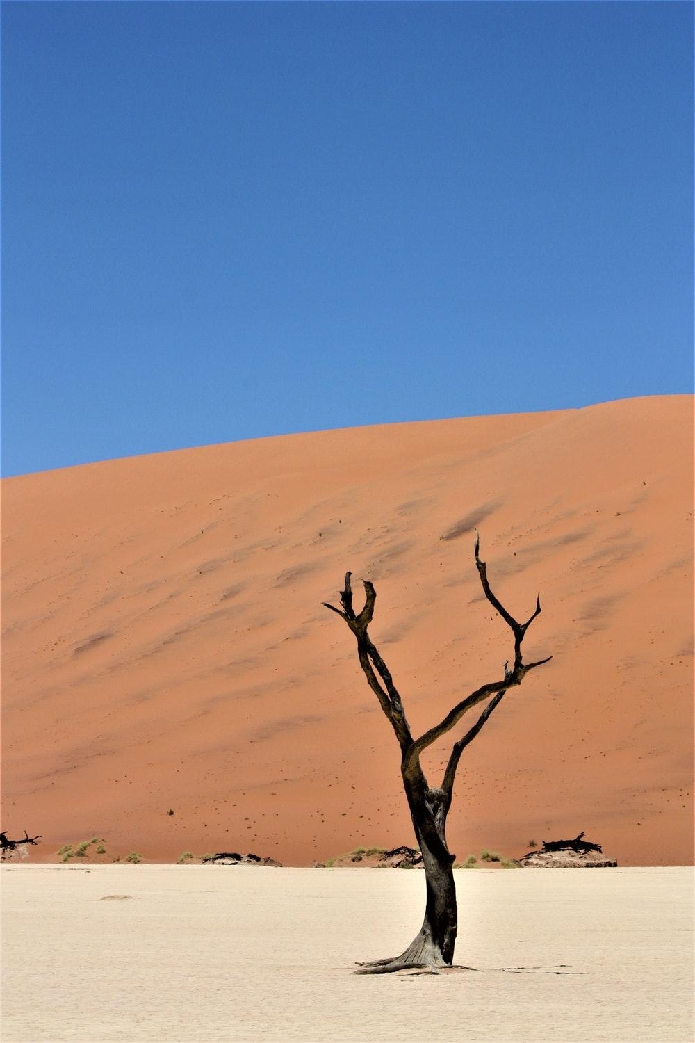1000x1500 Sossusvlei, Namibia Picture. Download Free Image, Phone