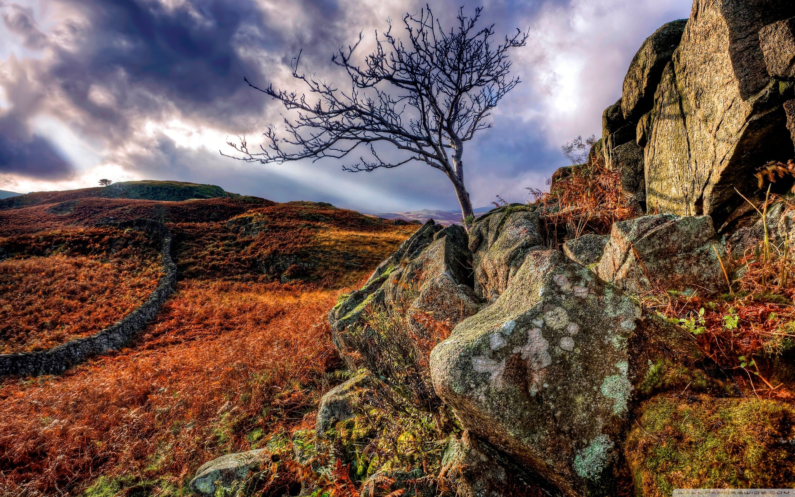 2560x1600 Highlands ❤ 4K HD Desktop Wallpaper for 4K Ultra HD TV • Dual, Desktop