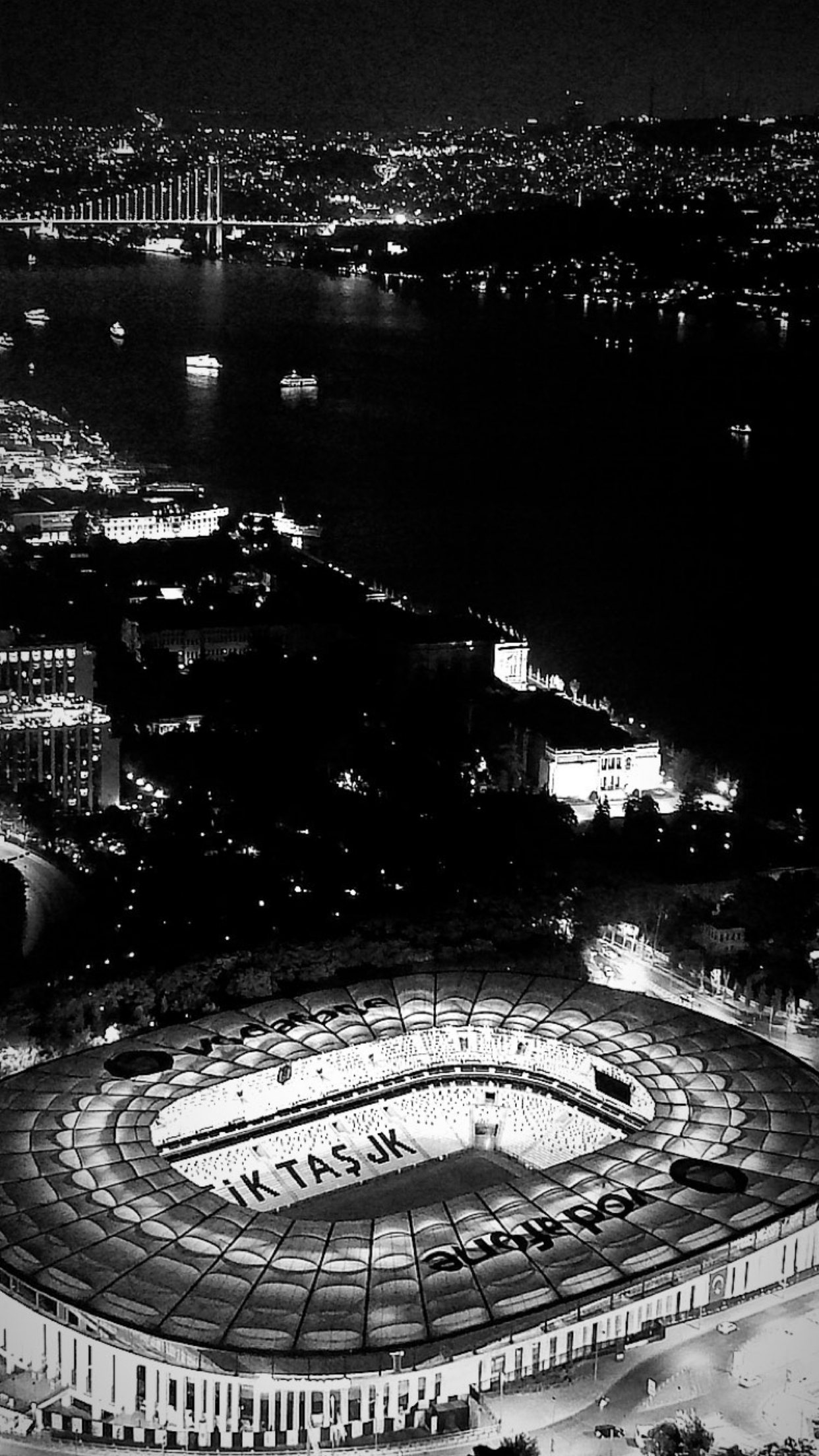1250x2210 Vodafone Park Wallpaper, Phone