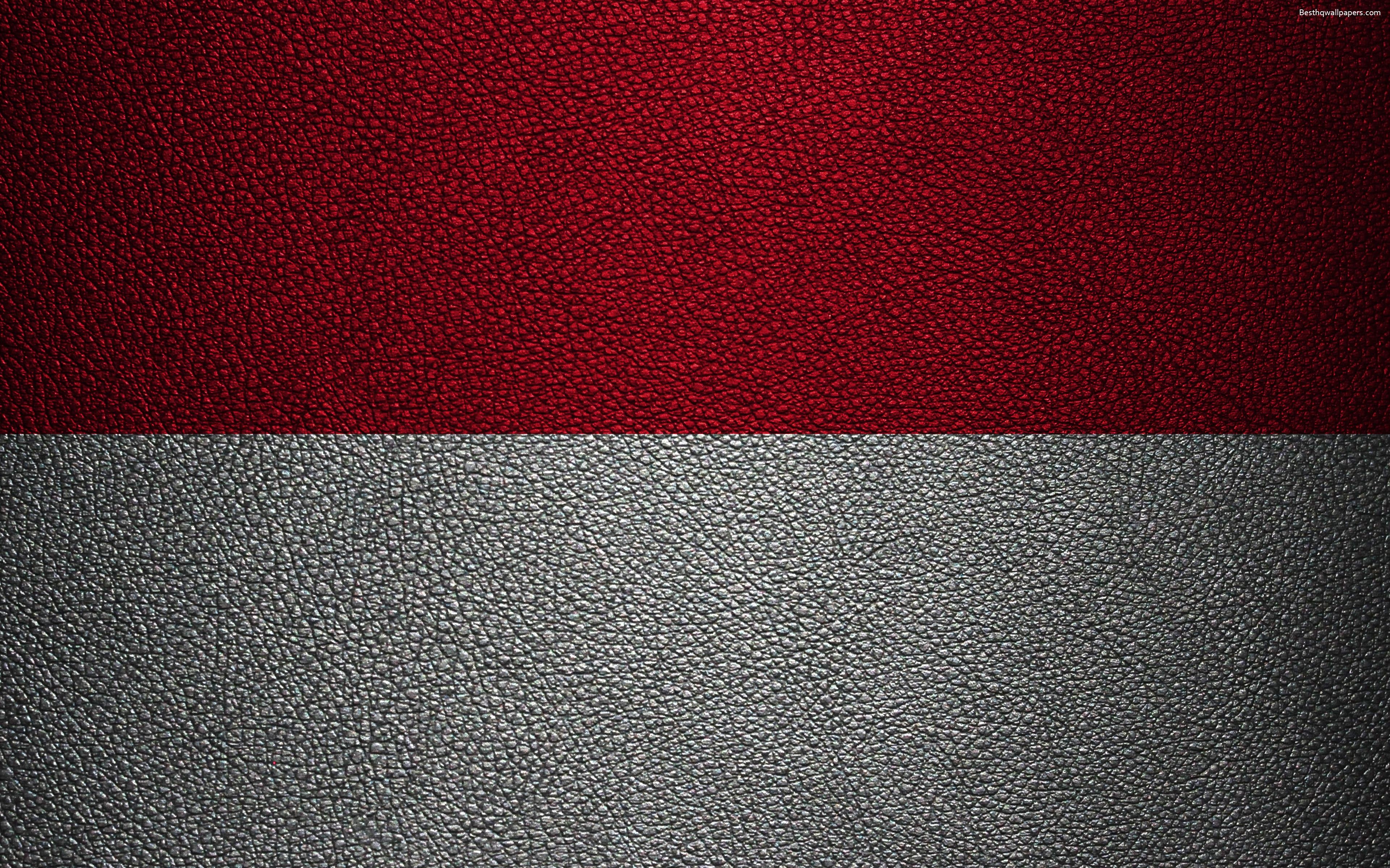 3840x2400 Download wallpaper Flag of Monaco, 4k, leather texture, Europe, Desktop
