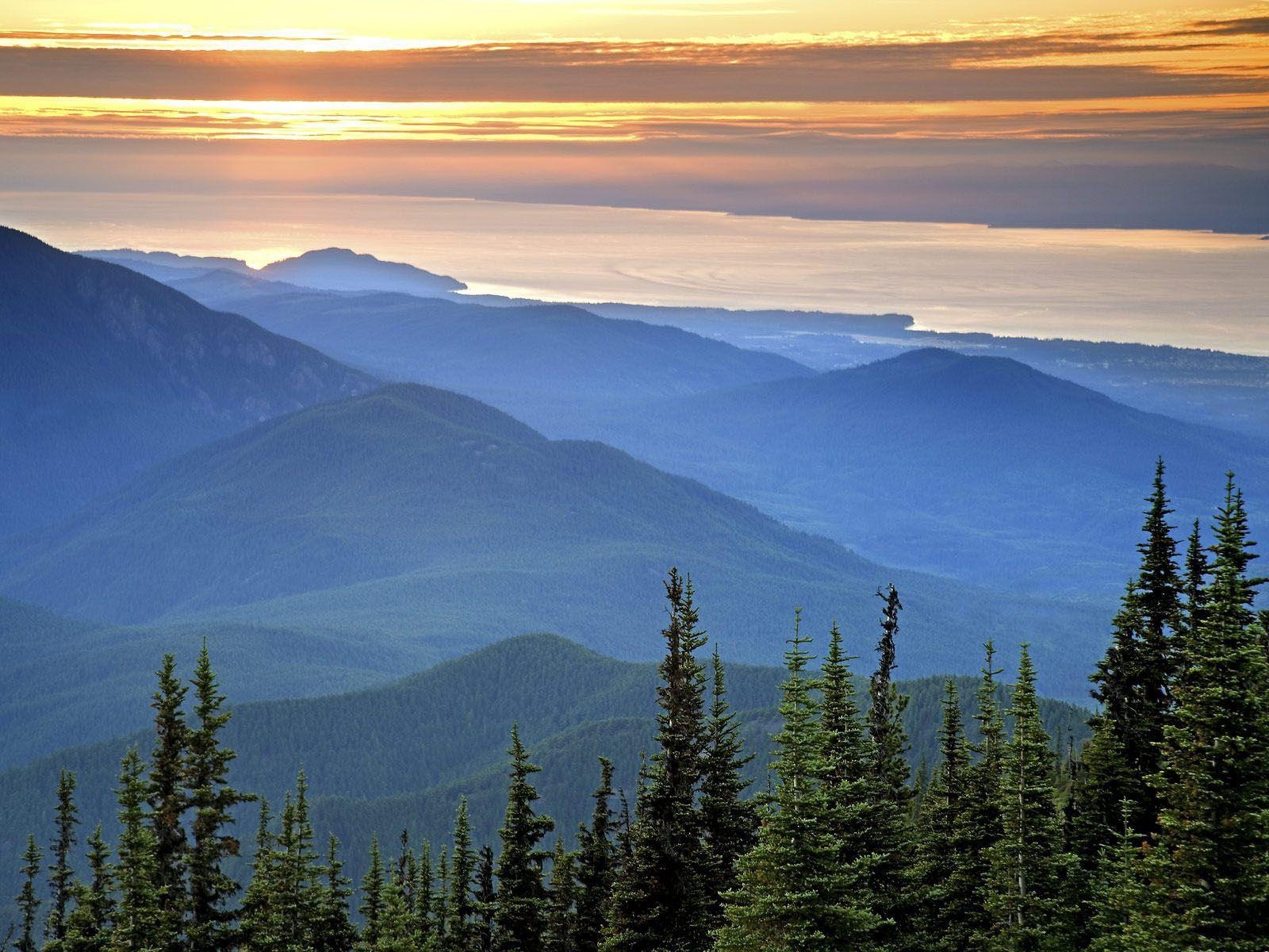 1600x1200 wallpaper: Olympic National Park Wallpaper, Desktop