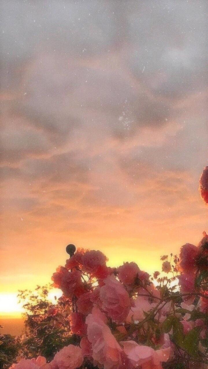 720x1280 iphone lockscreen, Phone