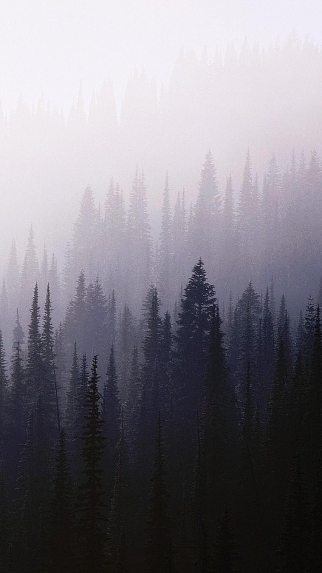 1080x1920 Nature Background Tumblr Nature Wallpaper Misty Morning, Phone