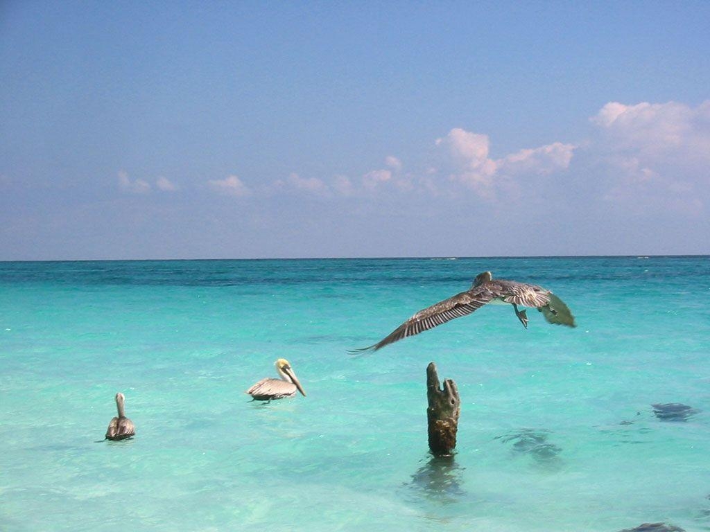 1030x770 Mexico Wallpaper: San Christobal, Salina Cruz, Chichen Itza, Desktop