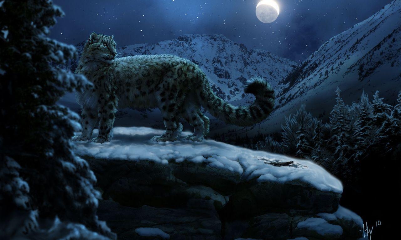 1280x770 HD Wallpaper, Desktop