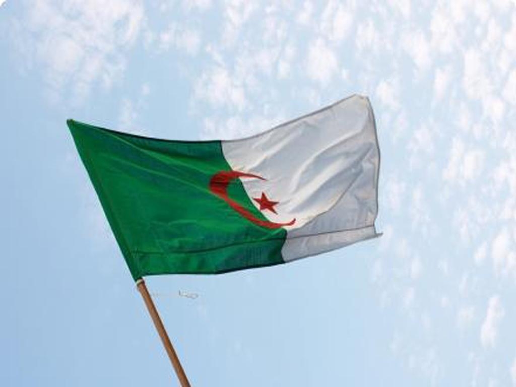 1030x770 Algeria flag wallpaper, Desktop