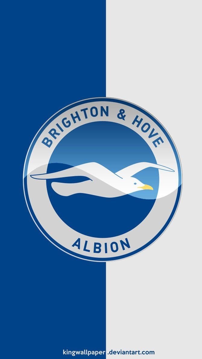 670x1200 Brighton and Hove Albion moblie background, Phone