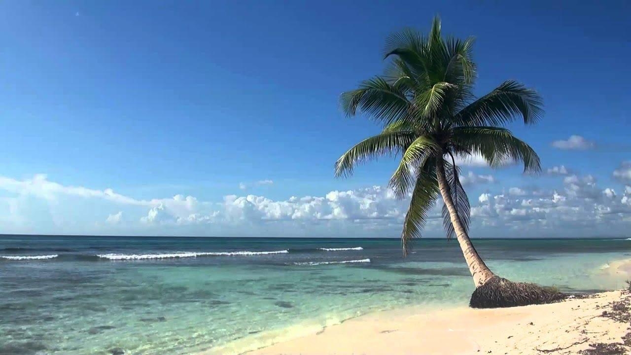 1280x720 ♥♥ Relaxing 3 Hour Video of Tropical Beach with Blue Sky White Sand and Palm Tree, Desktop