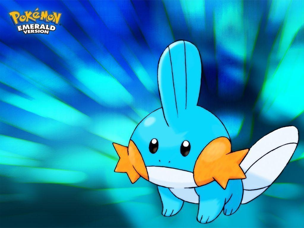 1030x770 Mudkip (Pokémon) HD Wallpaper, Desktop