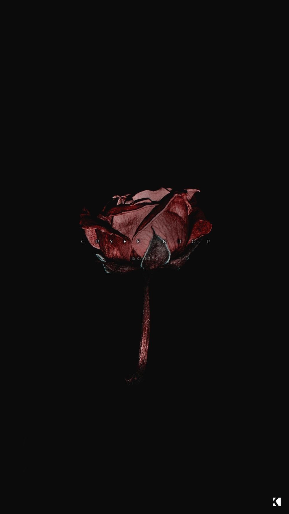 1000x1780 Dark Aesthetic Rose Wallpaper HD, Phone