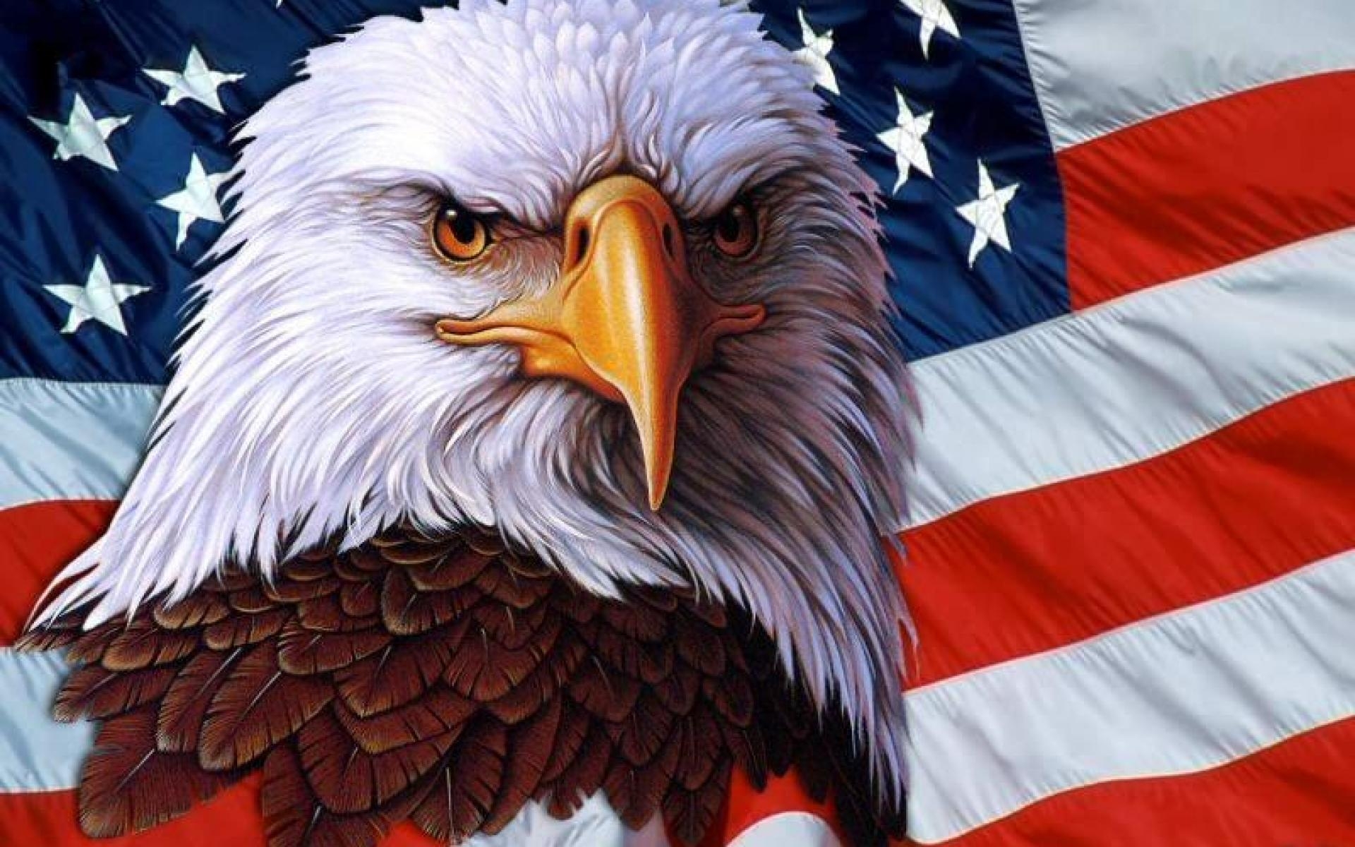 1920x1200 American Eagle Wallpaper, HD Quality American Eagle Wallpaper, Desktop