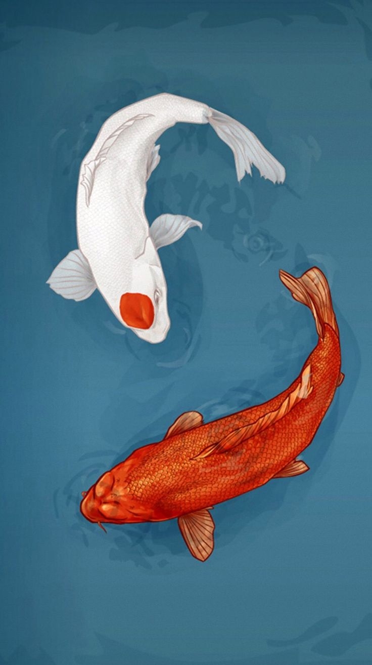 740x1320 Koi art, Fish drawings, Fish wallpaper, Phone