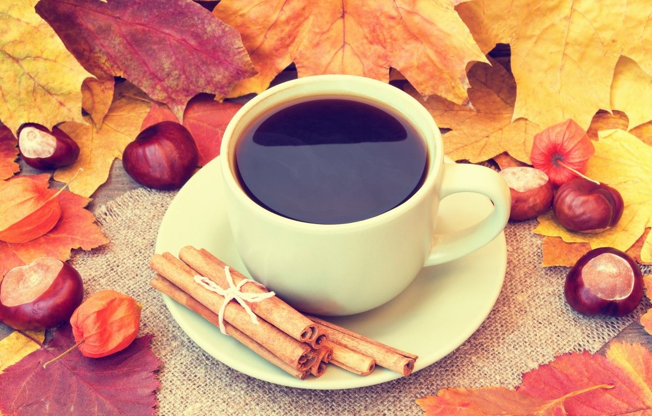 1340x850 Wallpaper autumn, leaves, coffee, Cup, acorns, autumn, leaves, book, fall, cup of coffee image for desktop, section еда, Desktop