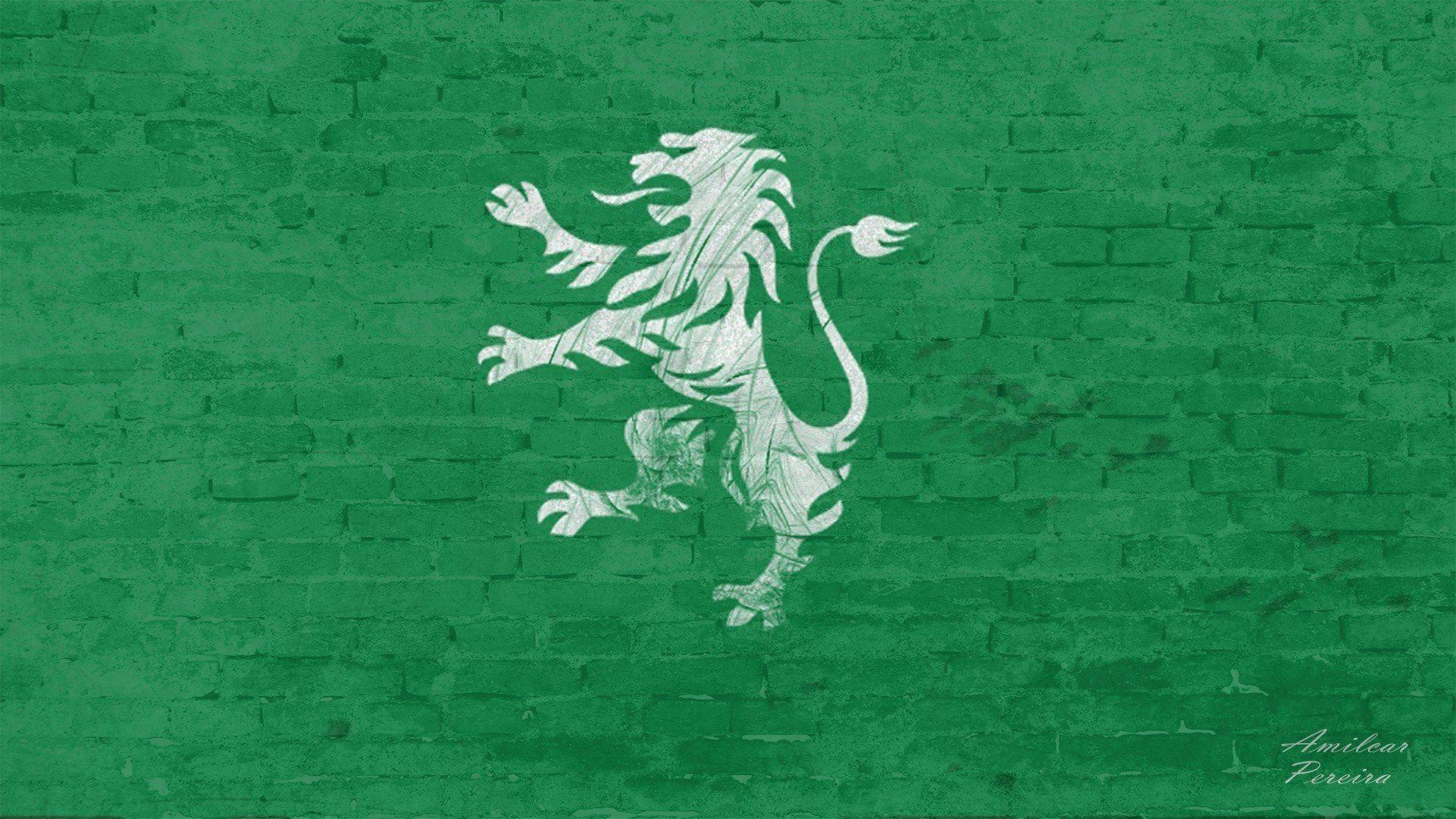 1930x1080 Sporting Portugal Wallpaper, Desktop