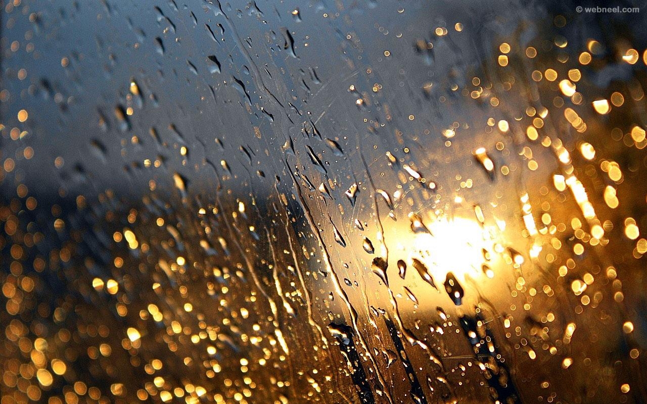 1280x800 rain wallpaper raindrops 9, Desktop