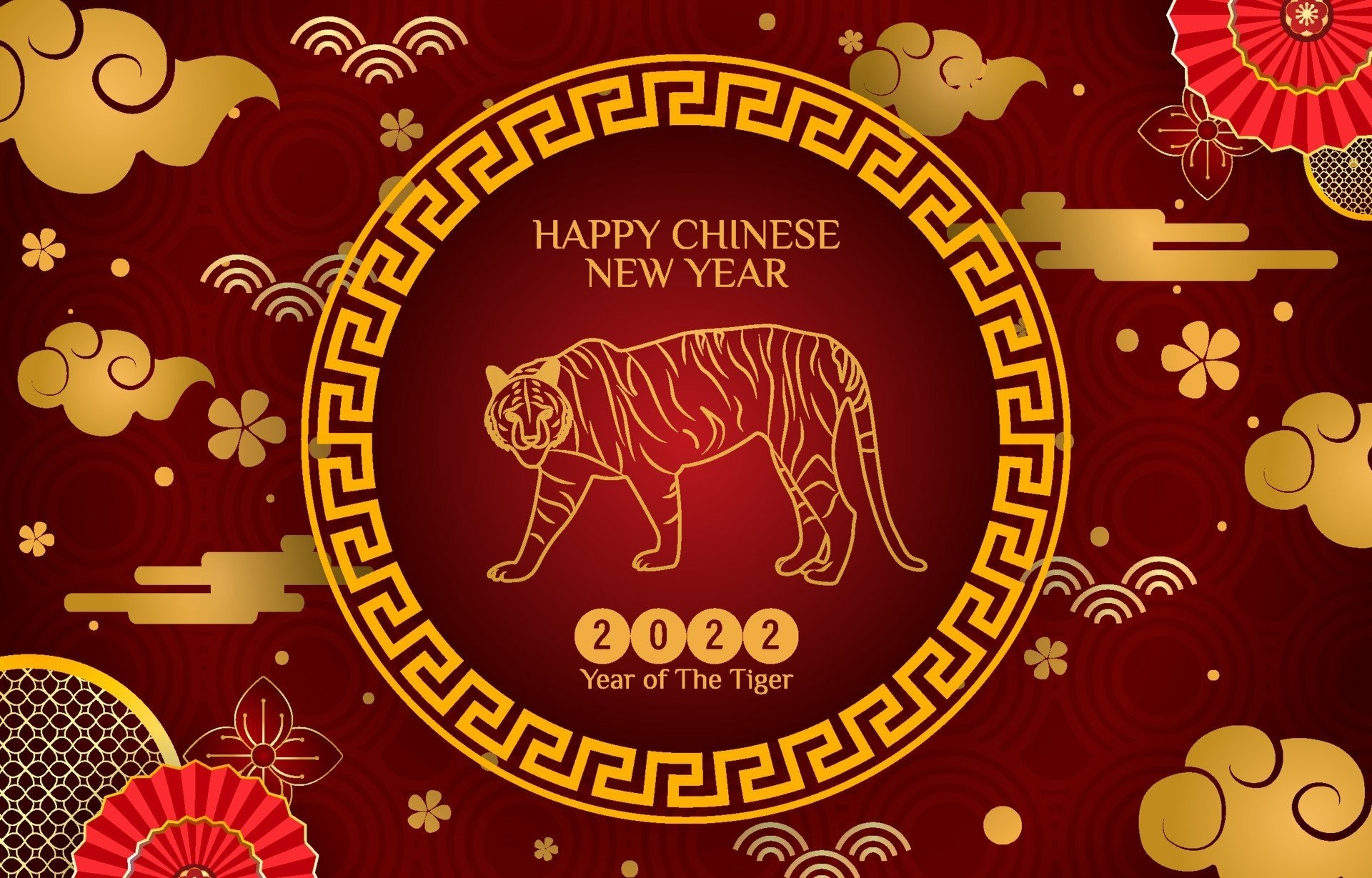 1920x1230 Year of the Tiger HD Wallpaper, Desktop
