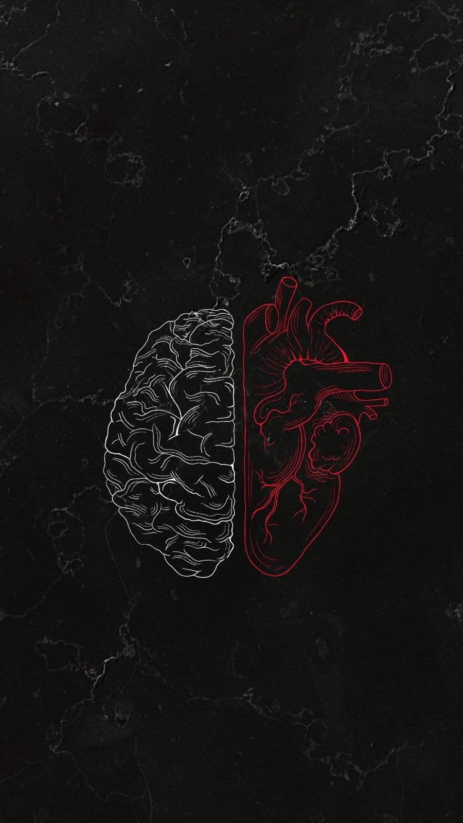 900x1600 Brain Vs Heart IPhone Wallpaper, Phone