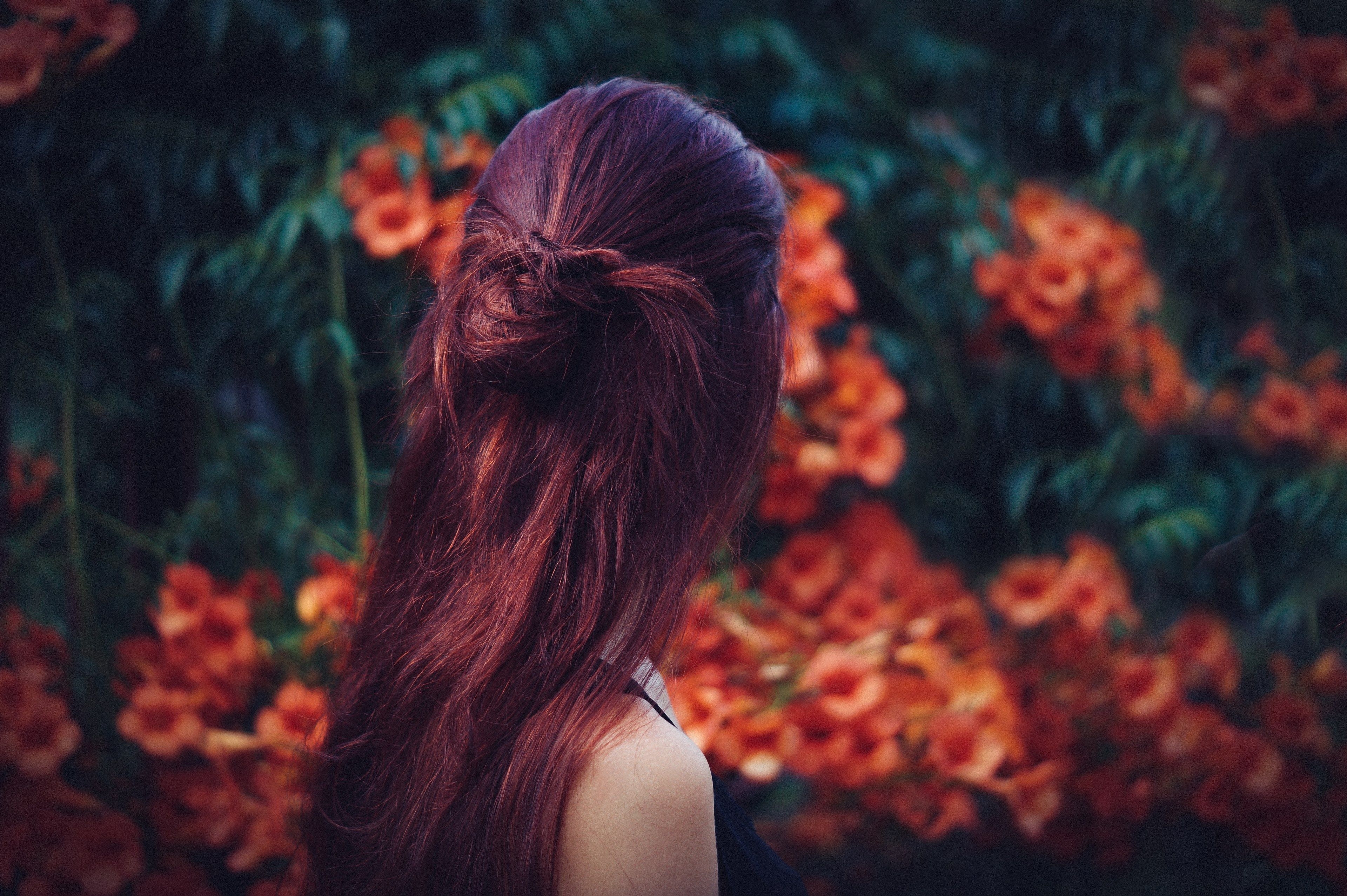 3840x2560 Wallpaper / the back of the head of a dark haired woman in a garden full of red flowers, woman strolling in a beautiful garden 4k wallpaper free download, Desktop