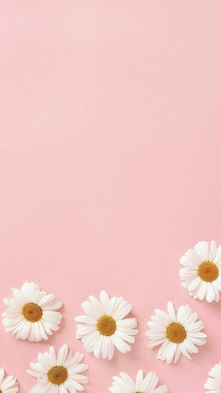 740x1310 aesthetic wallpaperaestheticswalls.tumblr.com, Phone