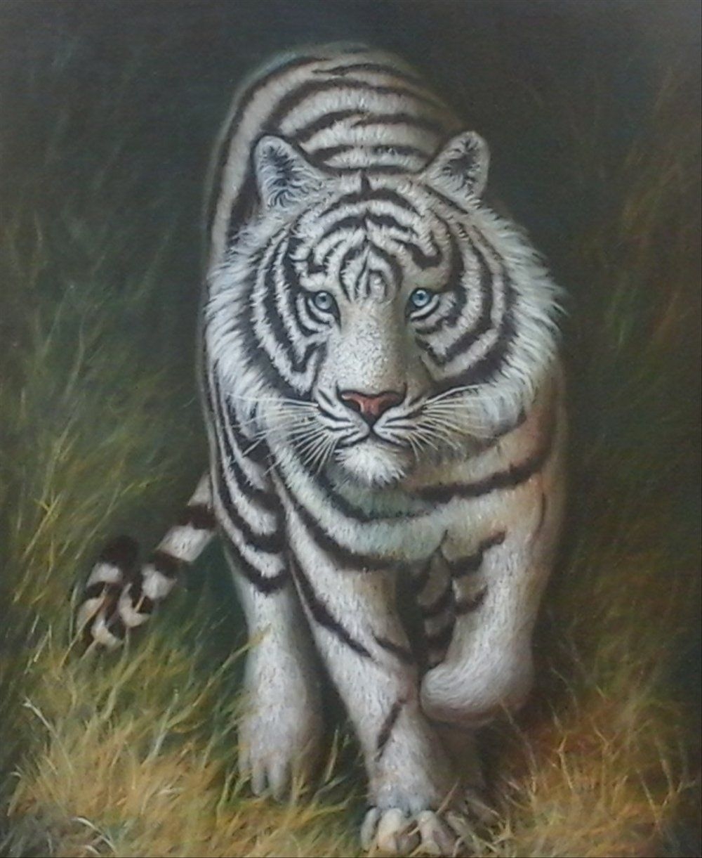 1000x1230 Gambar Lukisan Harimau Putih, Phone