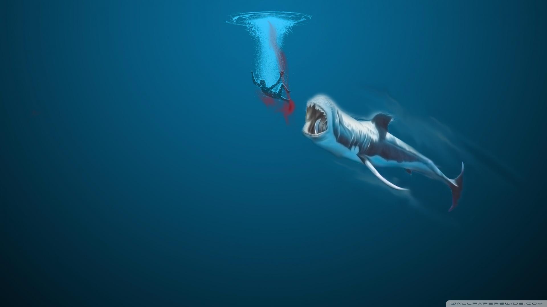 1920x1080 Free Whale Wallpaper for Desktop, Desktop