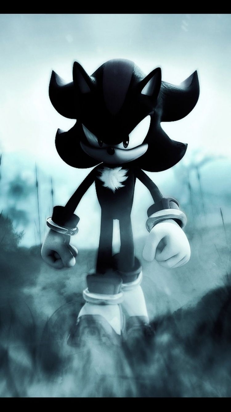 750x1340 Sonic and Shadow Wallpaper Wallpaper, Phone