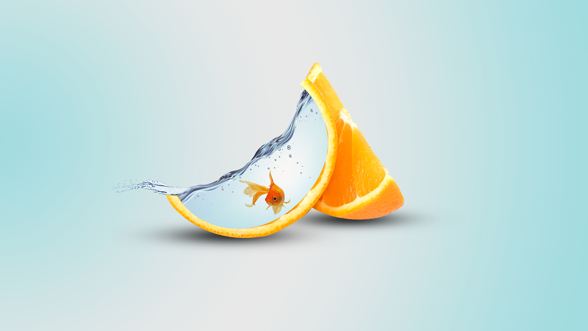 1920x1080 Wallpaper, orange fruit, fish, digital art, water, Desktop