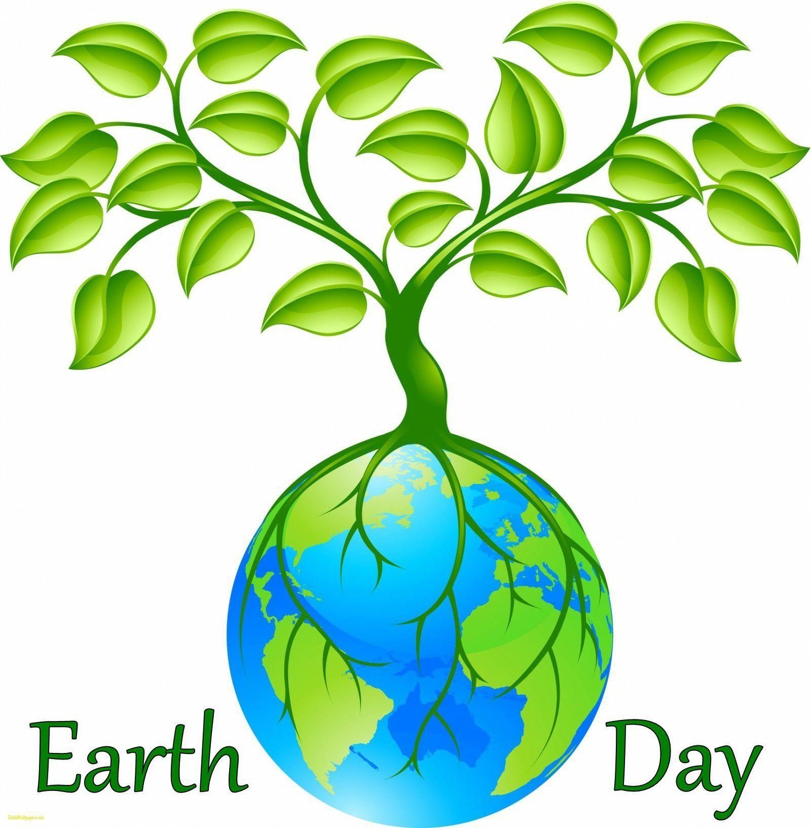 1600x1640 Earth Day Wallpaper Desktop Background, Phone