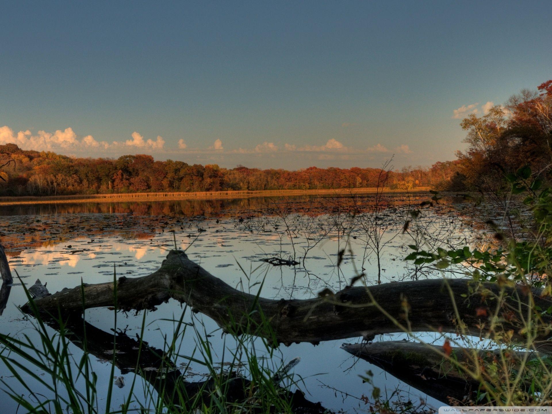 1920x1440 Fallen Lake, Lebanon Hills Park, Eagan, Minnesota HD, Desktop