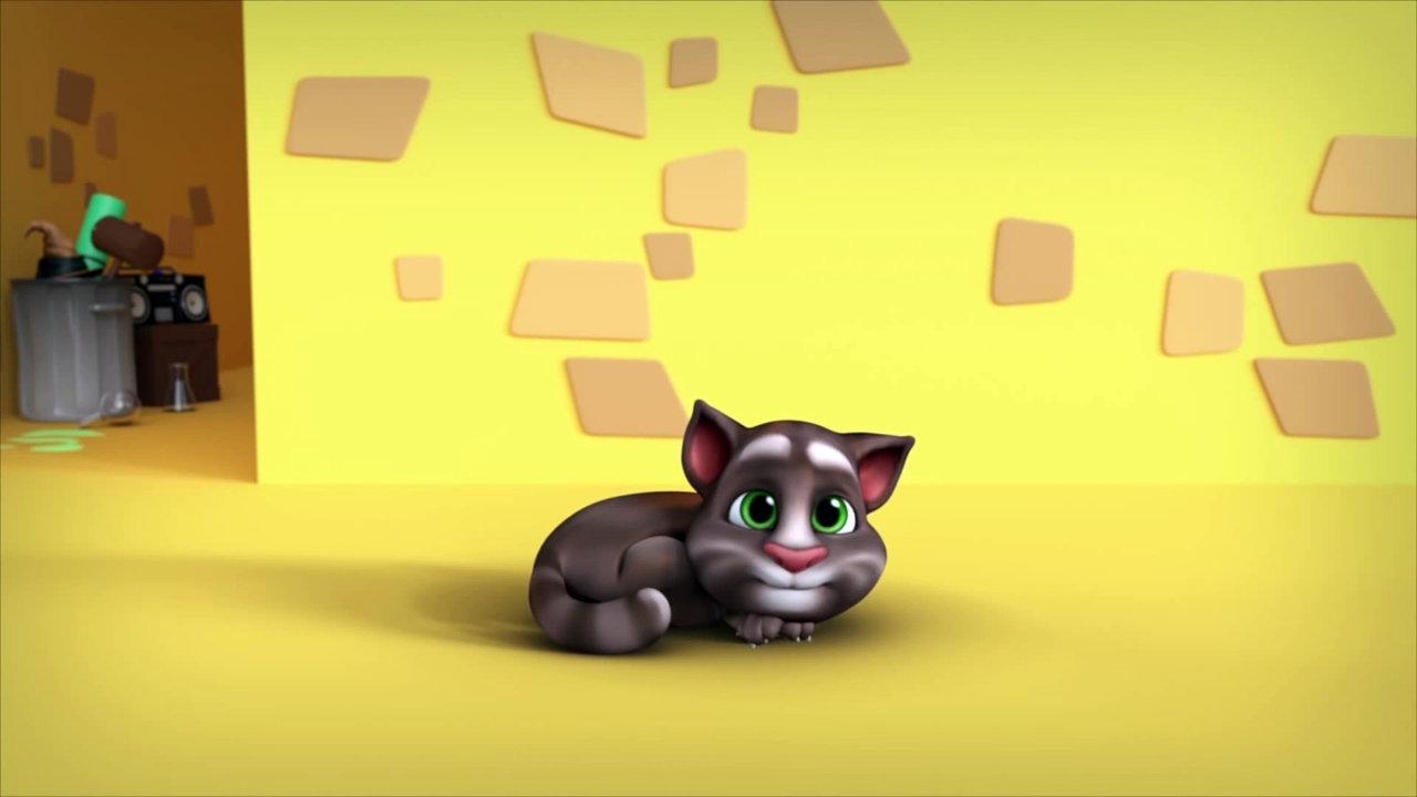 1280x720 My Talking Tom Wallpaper HD for Android, Desktop