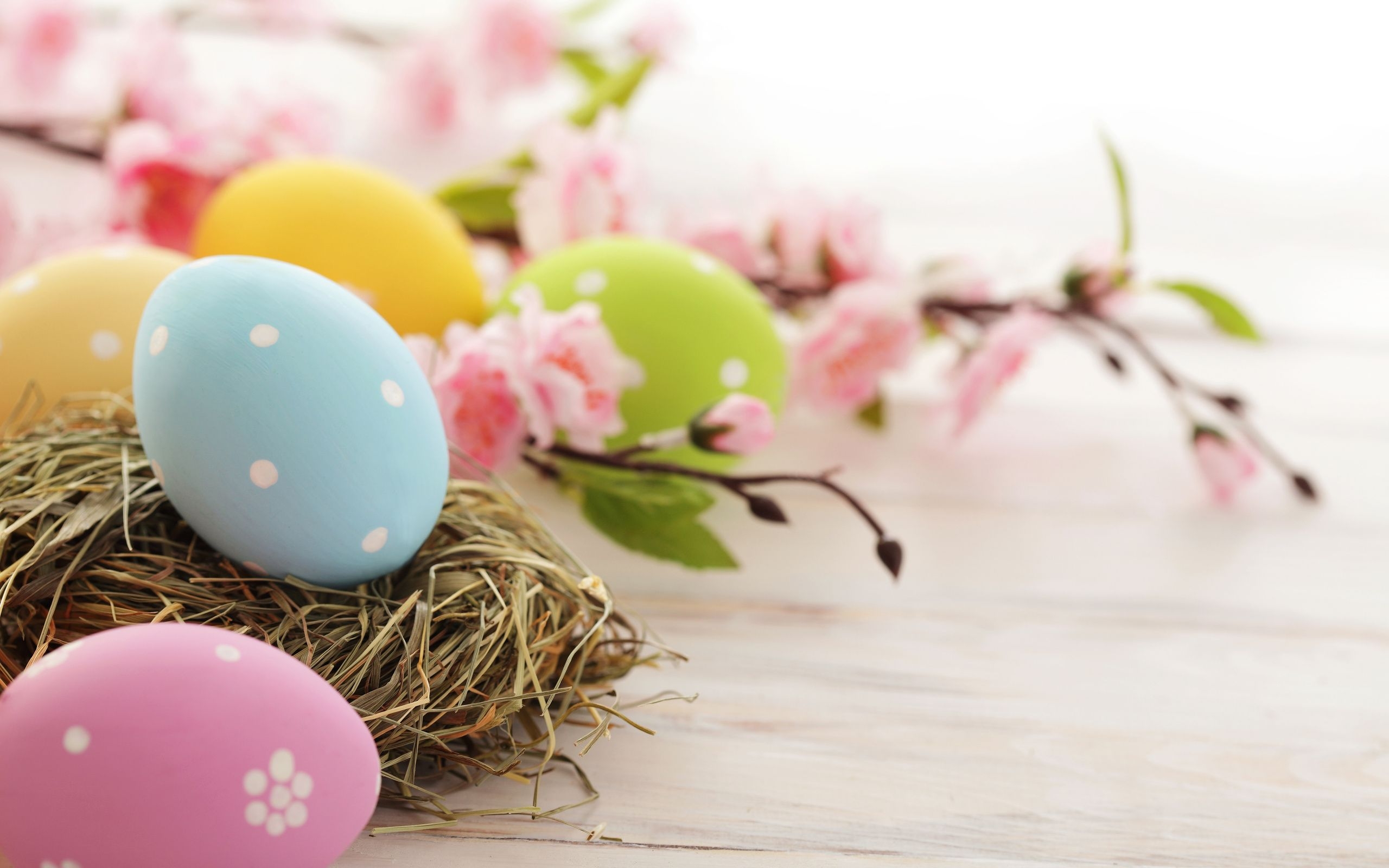 2560x1600 easter. Easter wallpaper, Happy easter, Easter eggs, Desktop