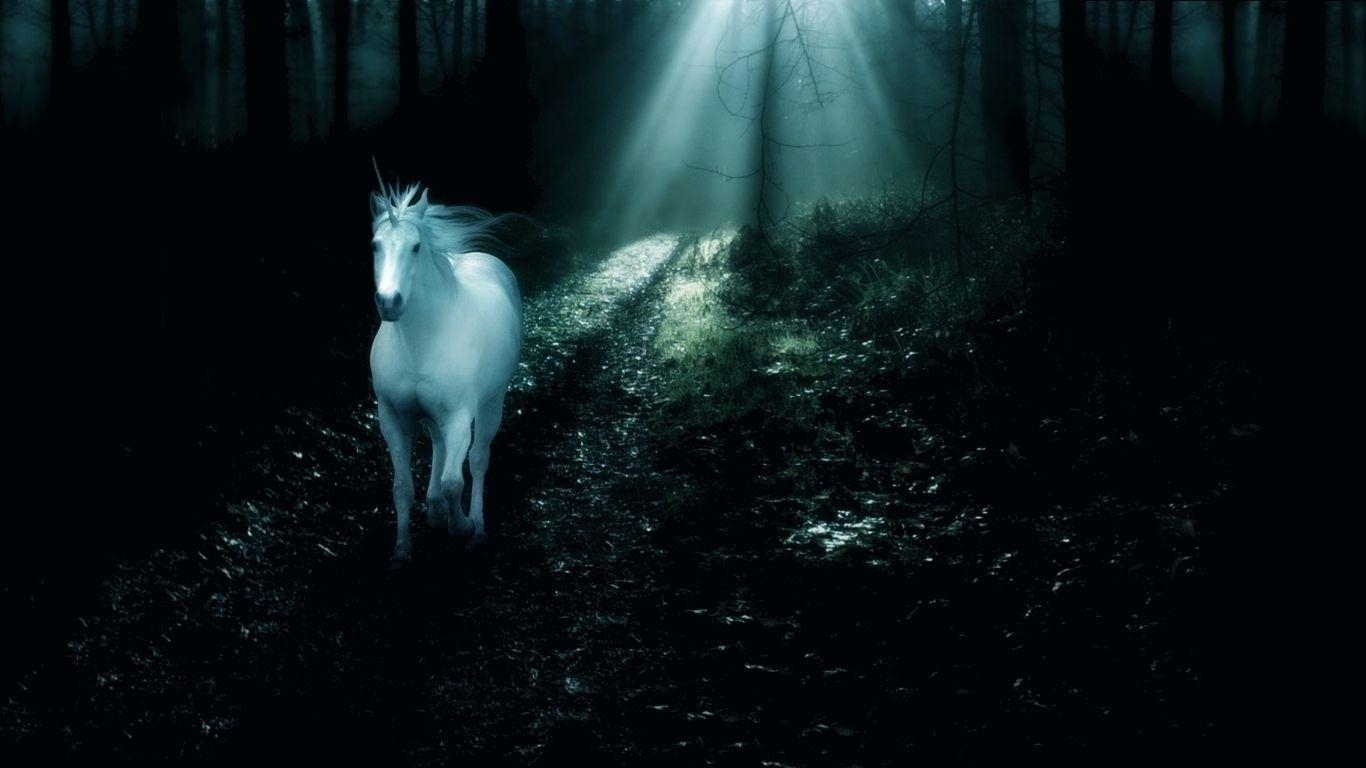 1370x770 Unicorn Wallpaper 1734, Desktop