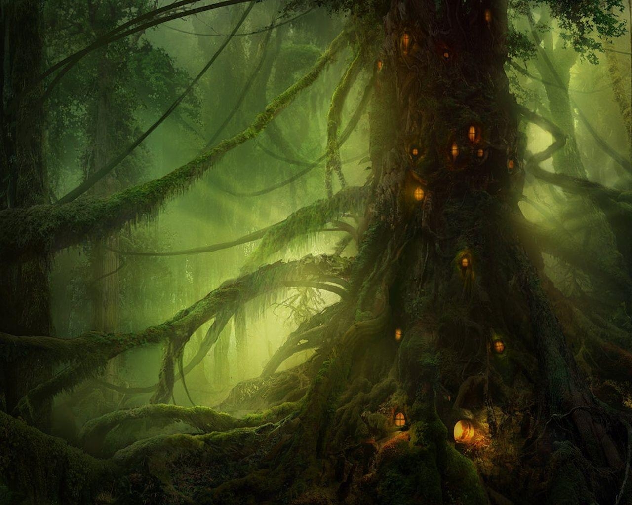 1280x1030 Thor's Oak, Desktop