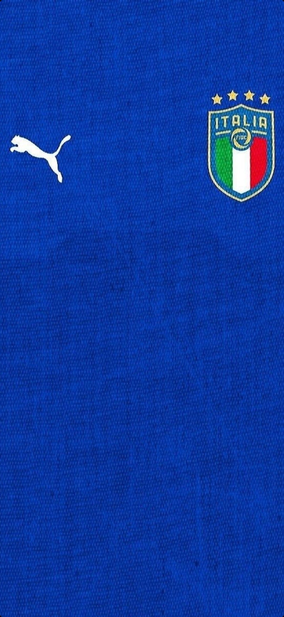 1080x2340 Italy logo ideas. italy logo, football, roberto baggio, Phone