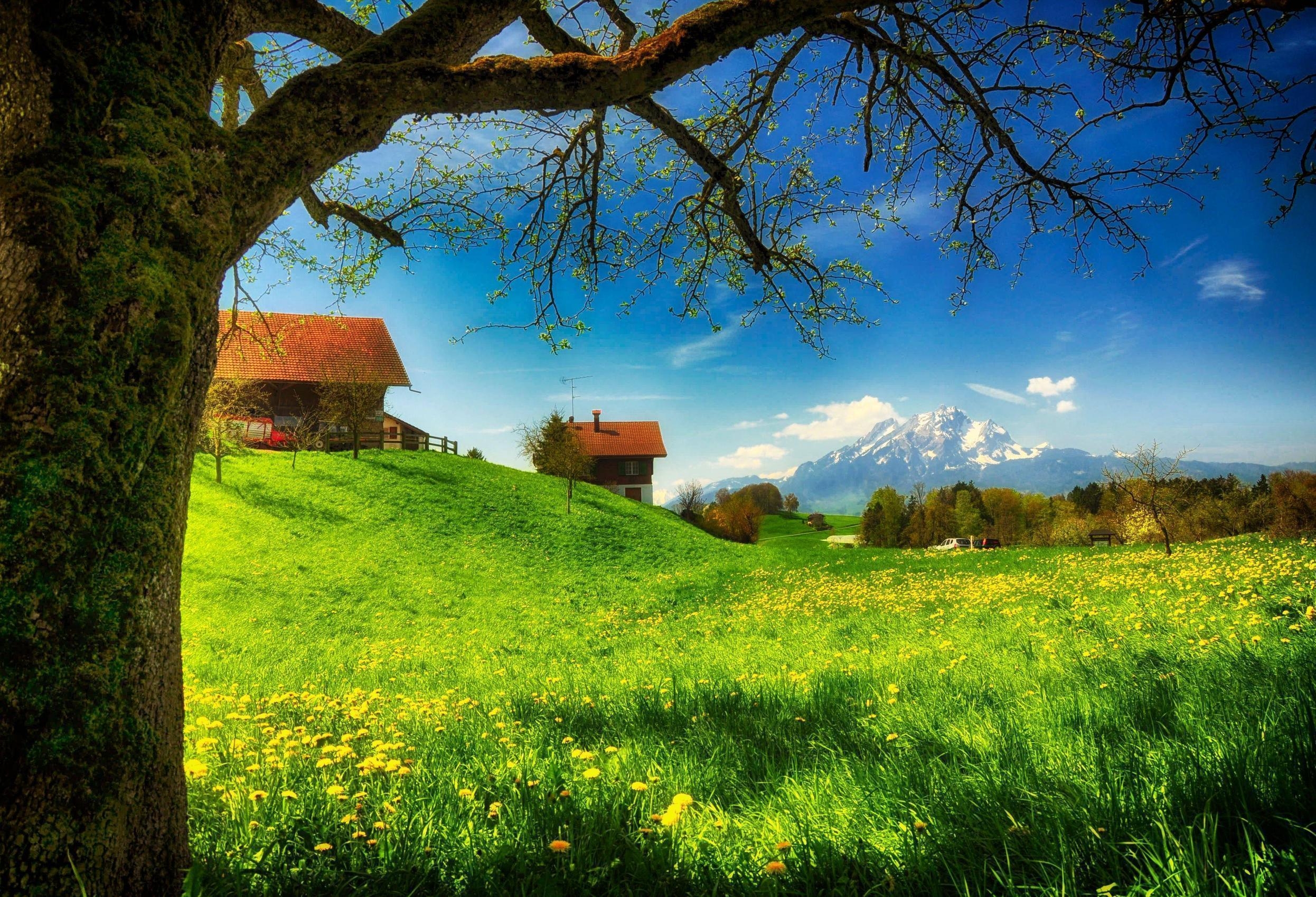 2500x1700 Spring meadow in the village wallpaper and image, Desktop
