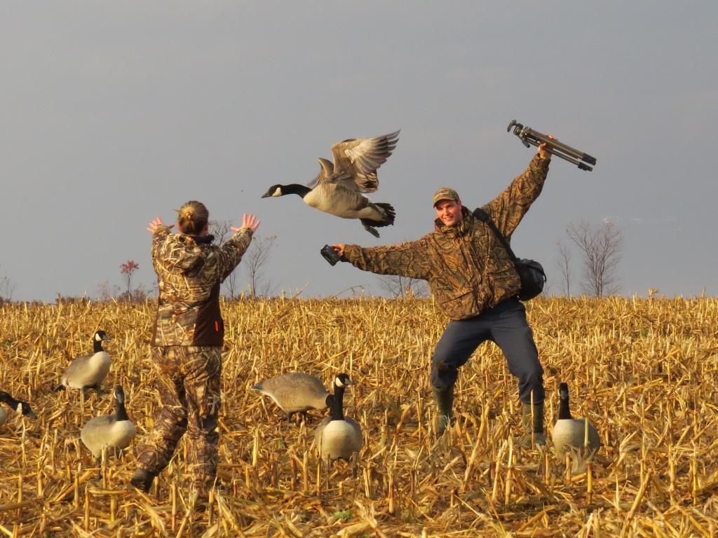 1030x770 Desktop Background: Goose Hunting Wallpaper, Goose Hunting, Desktop