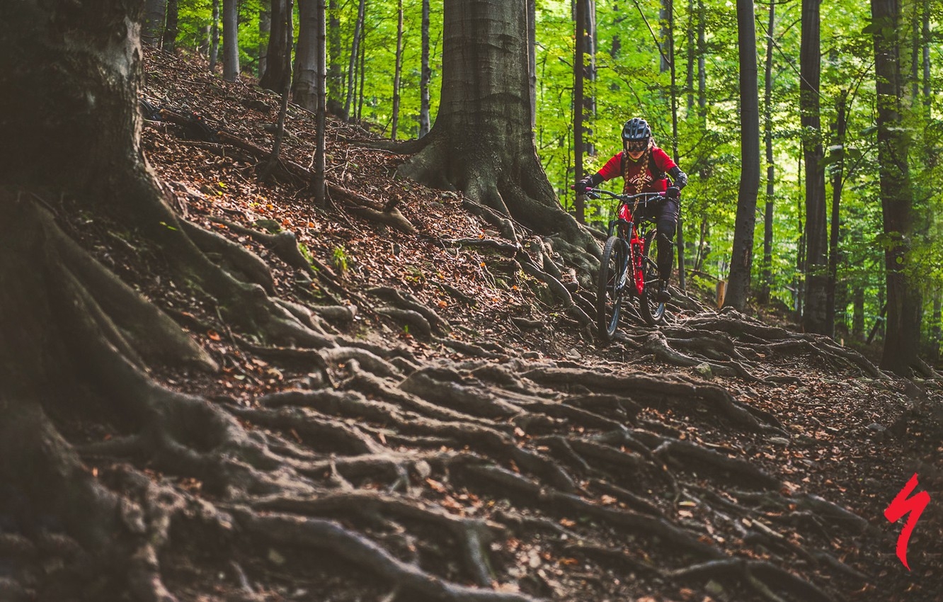 1340x850 Wallpaper forest, girl, nature, bike, roots, sport, track, helmet, braids, bike, bicycle, cycle, Cycling, specialized, mtb, Enduro image for desktop, section спорт, Desktop