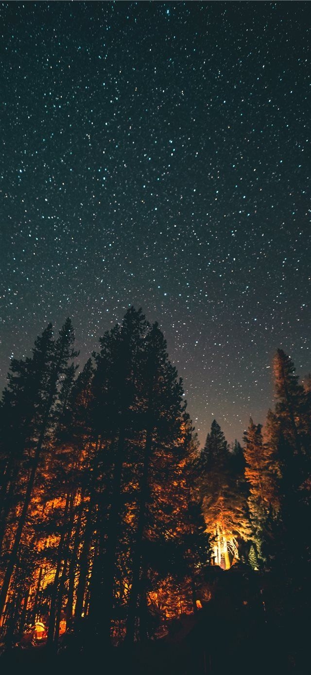 640x1390 Night Sky iPhone Wallpaper, Phone