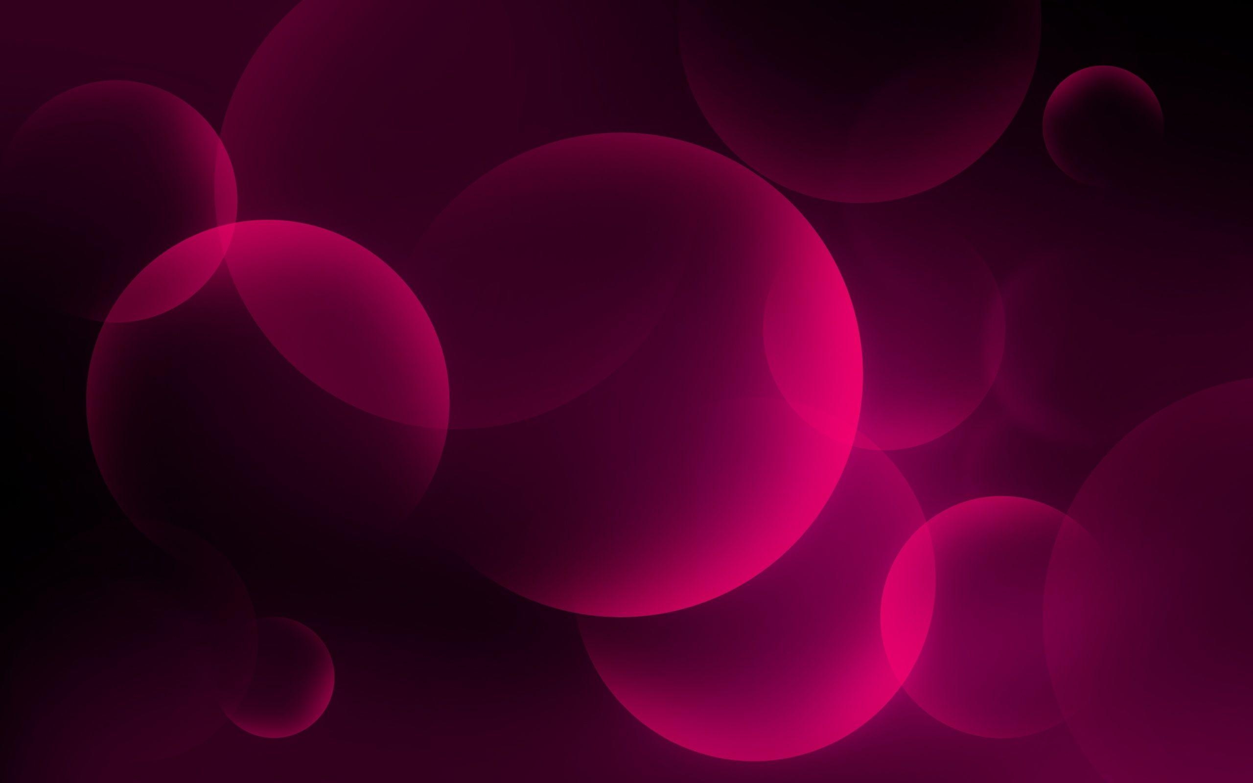 2560x1600 Pink and Black Wallpaper 23780  px, Desktop