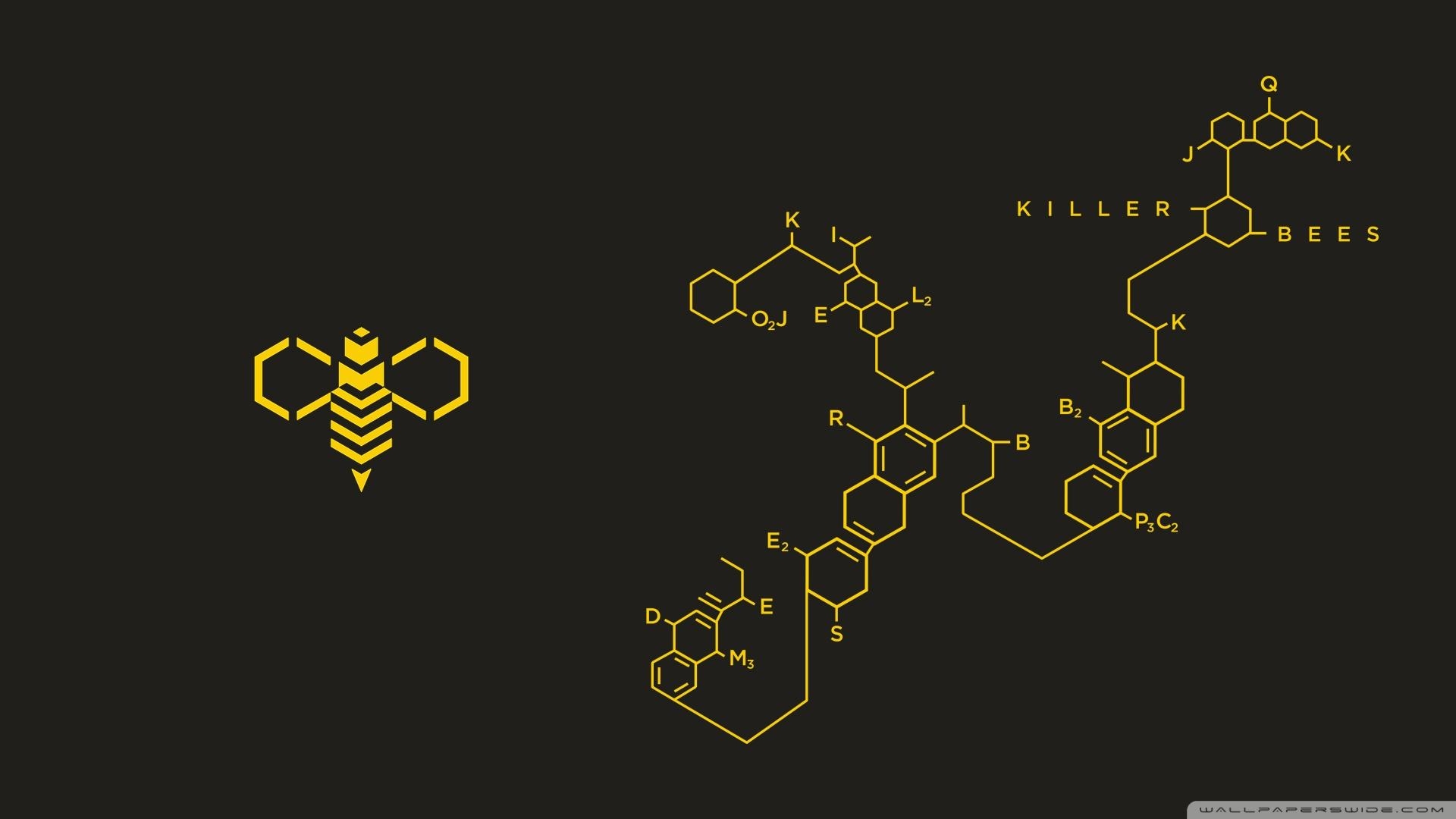 1920x1080 Bee Wallpaper 27 X 1080, Desktop