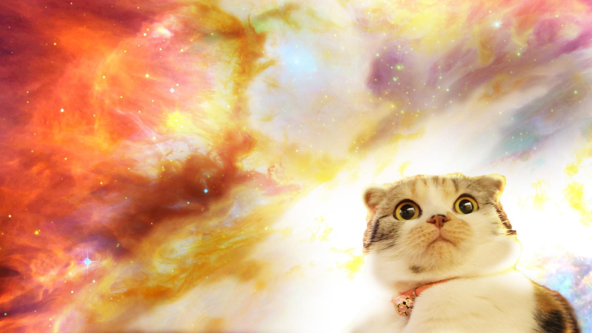 1920x1080 Space cat wallpaper, Desktop