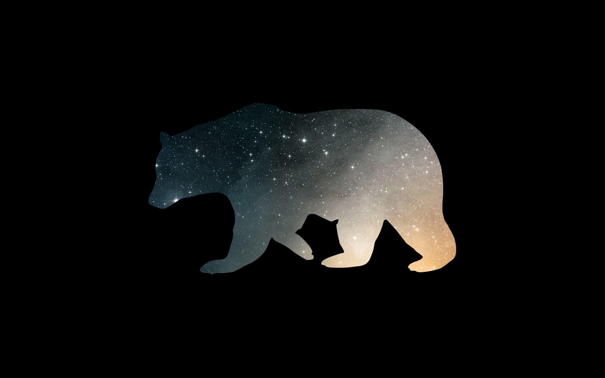 2560x1600 Bear Wallpaper (best Bear Wallpaper and image) on WallpaperChat, Desktop